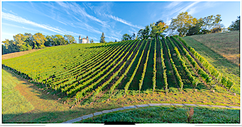 IMMERSION GOURMANDE - Au cœur des vignes du Château à Bizanos